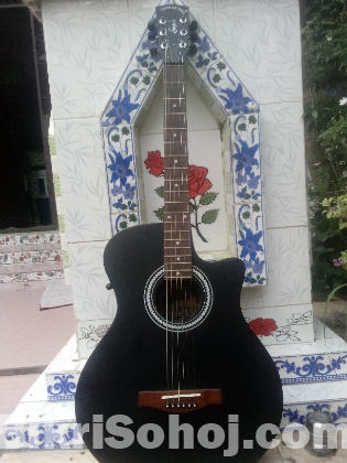 Acoustic Guiter